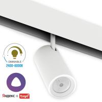 Светильник SPOT MAGNETIC S20 48V 15W 24° CRI90 OSRAM 3000-6000K TRIX | Белый корпус D45х100mm