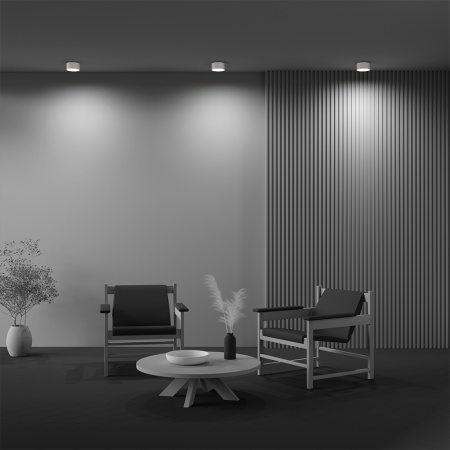 Светильник накладной RONDO 12W White 3000K | Ø120x65mm 