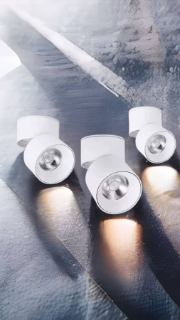 Светильник светодиодный накладной поворотный COLT R70 10W 3000K 36° BLACK Ø70x100mm